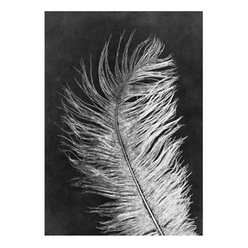 Kort feather white af pernille folcarelli